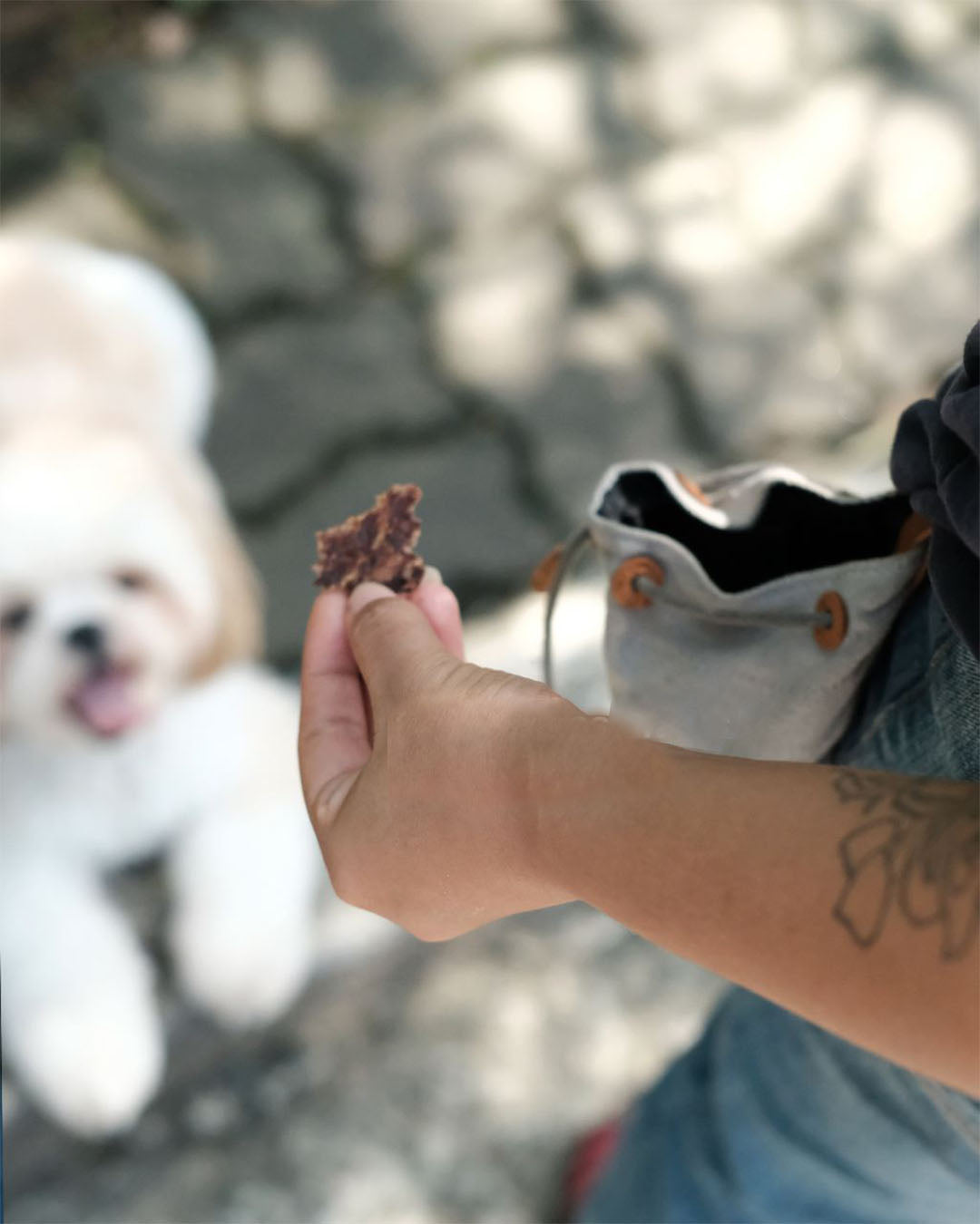 Treat pouch