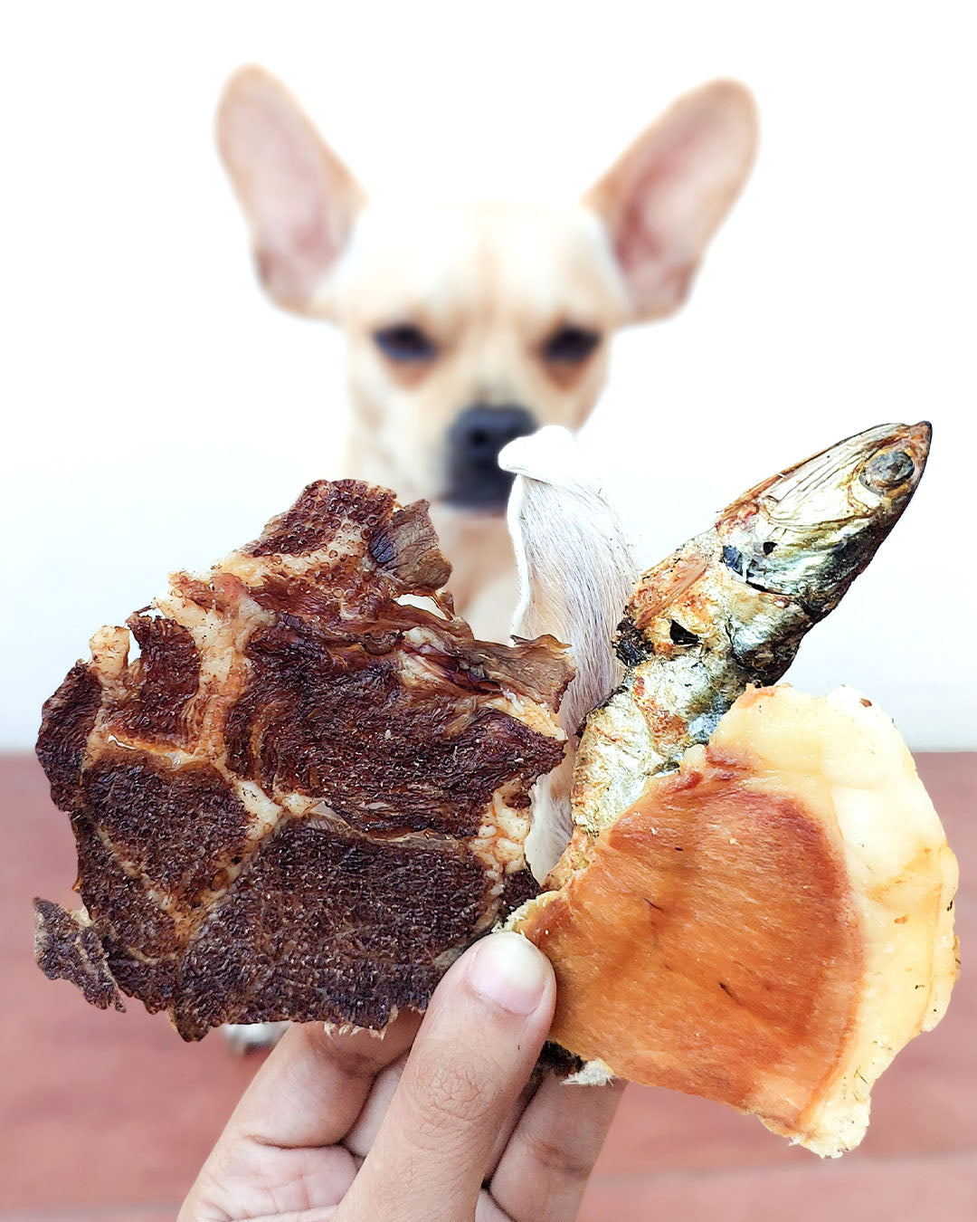 Treats