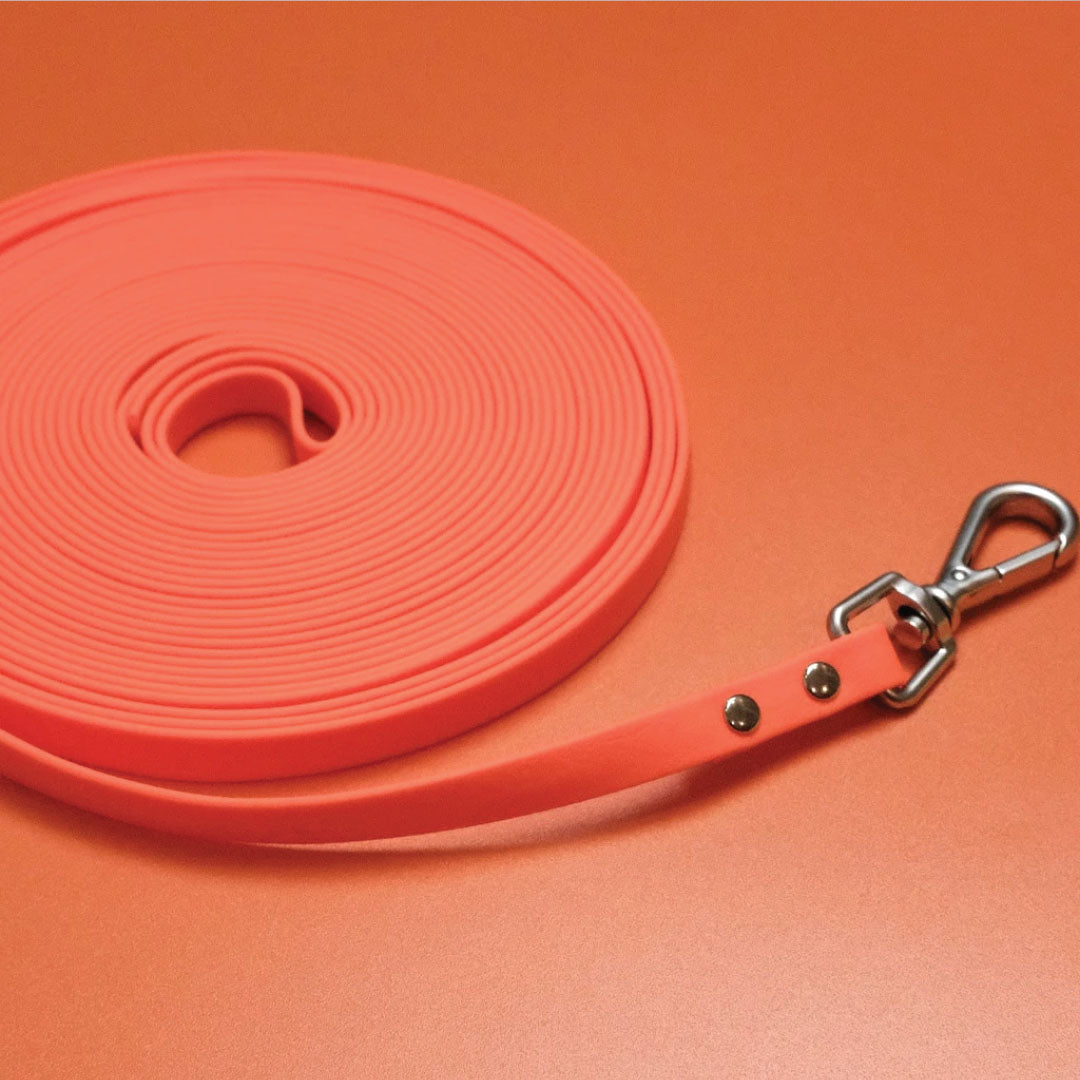 Long Waterproof Leash