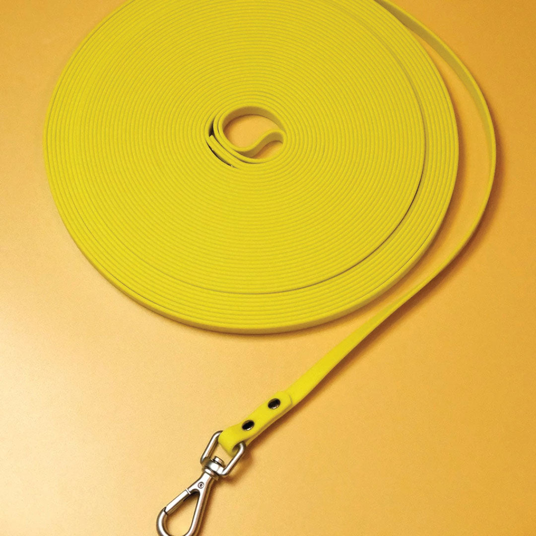 Long Waterproof Leash