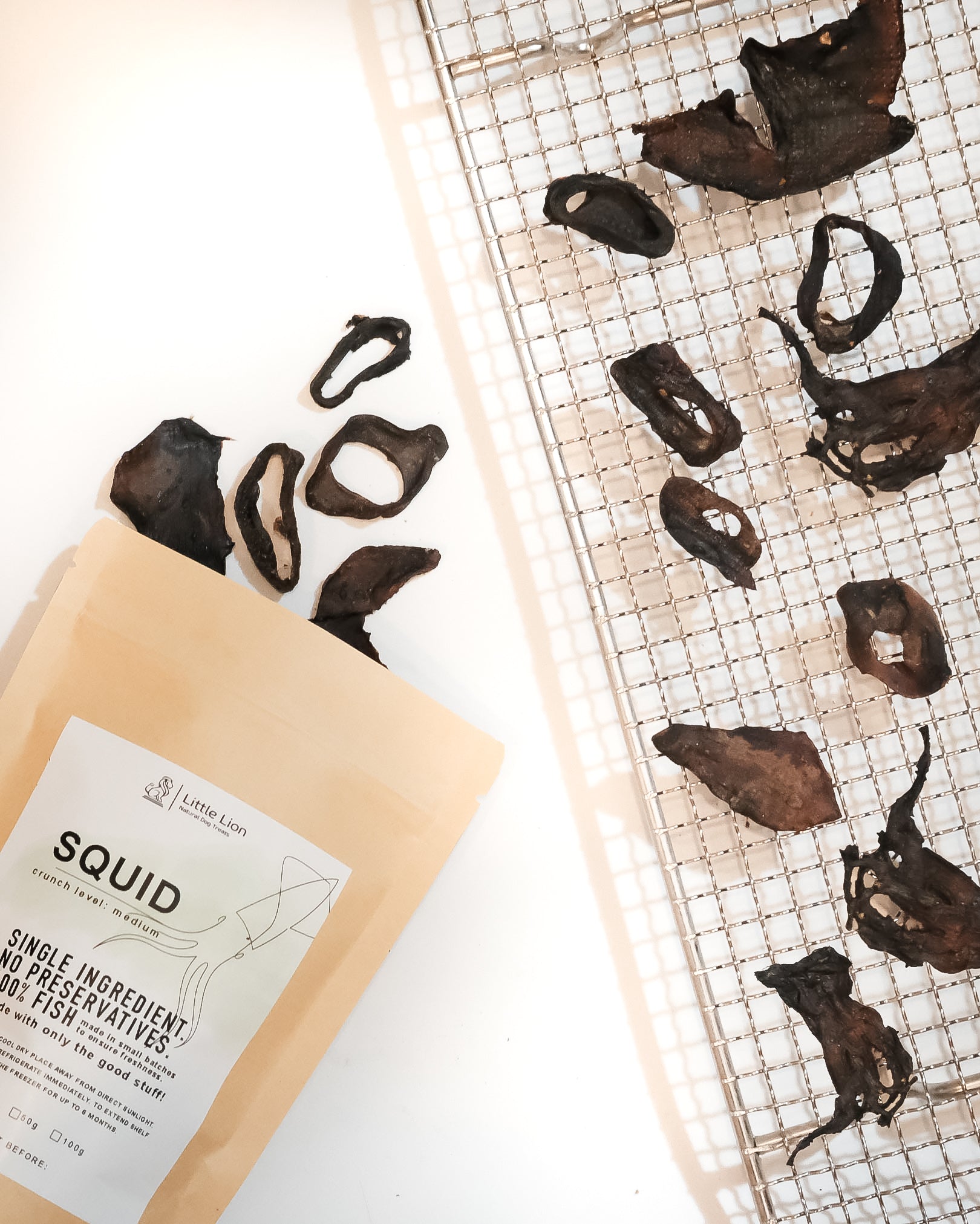 Squid
