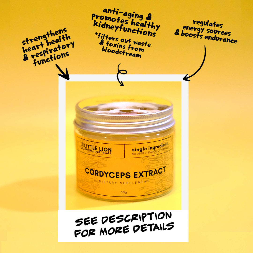 Cordyceps Mushroom Extract