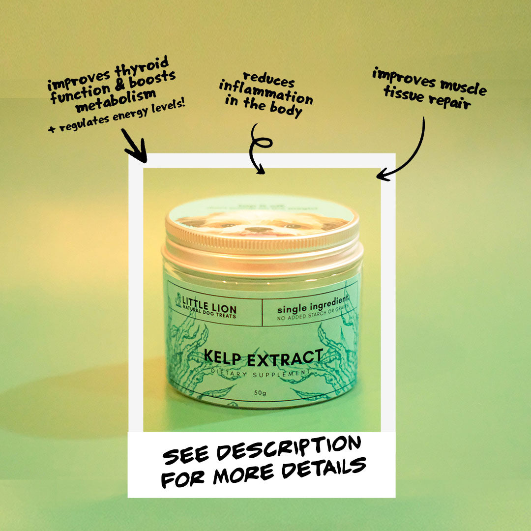 Kelp Extract