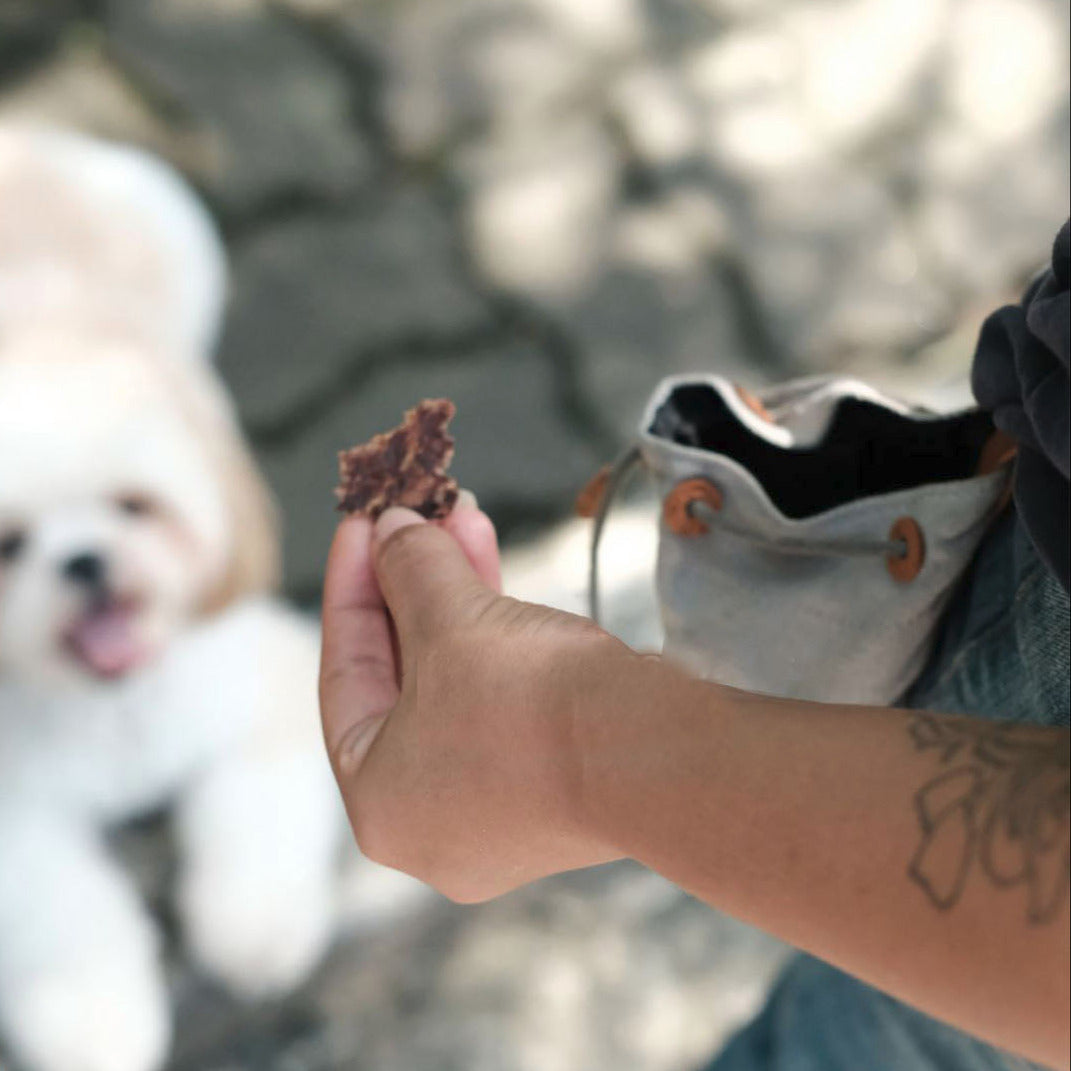 Draw-string Treat pouch