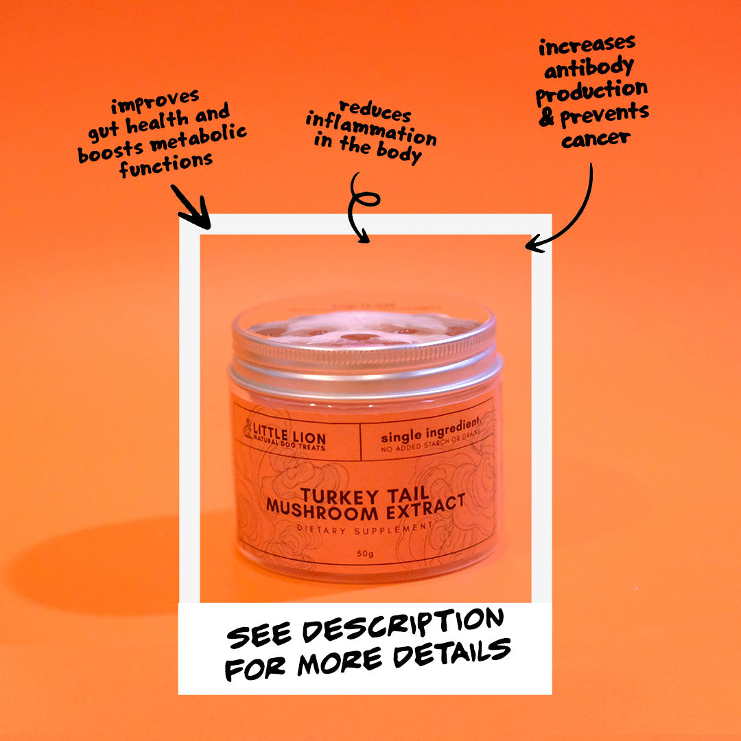 Turkey Tail Extract
