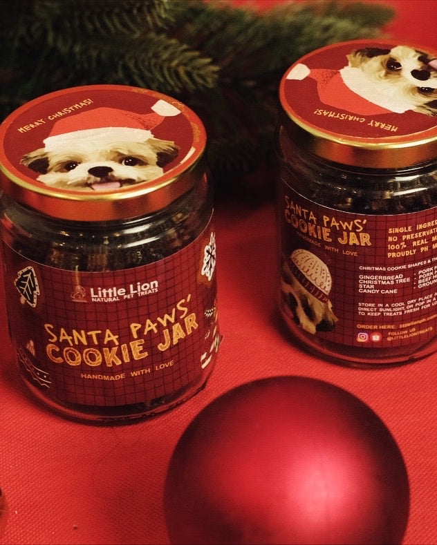 Little Lion Christmas Jars