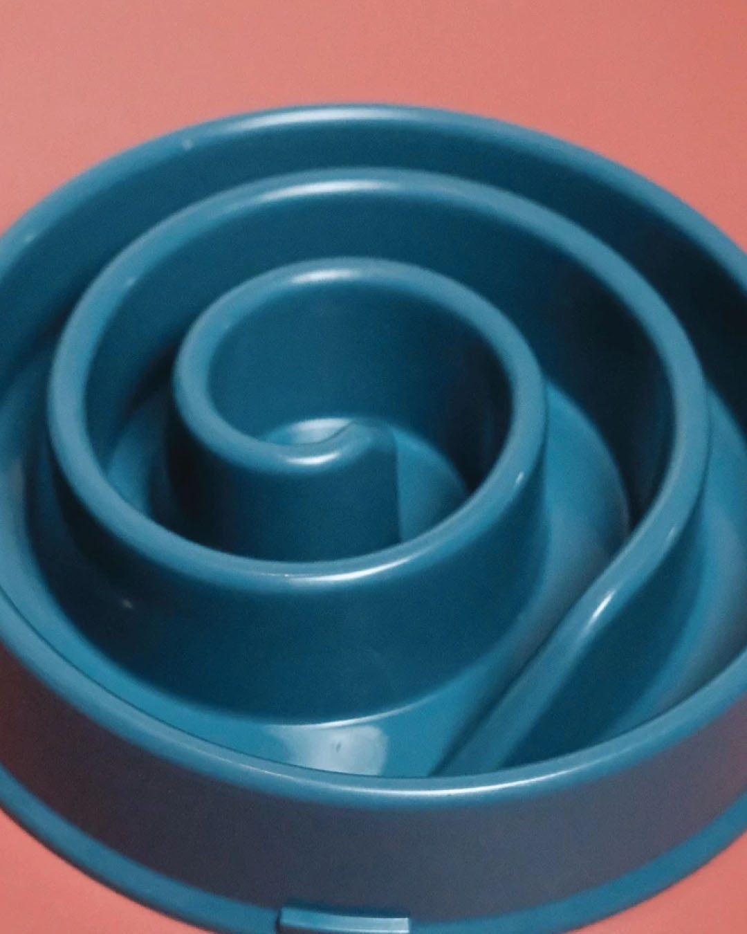 Hunting Slow Feeder Bowl