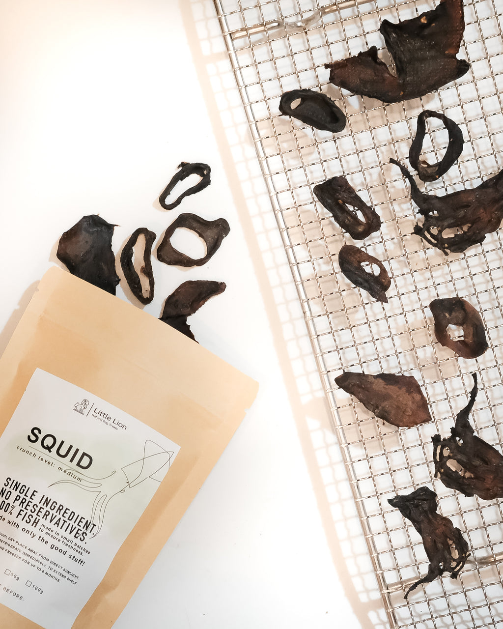 Squid