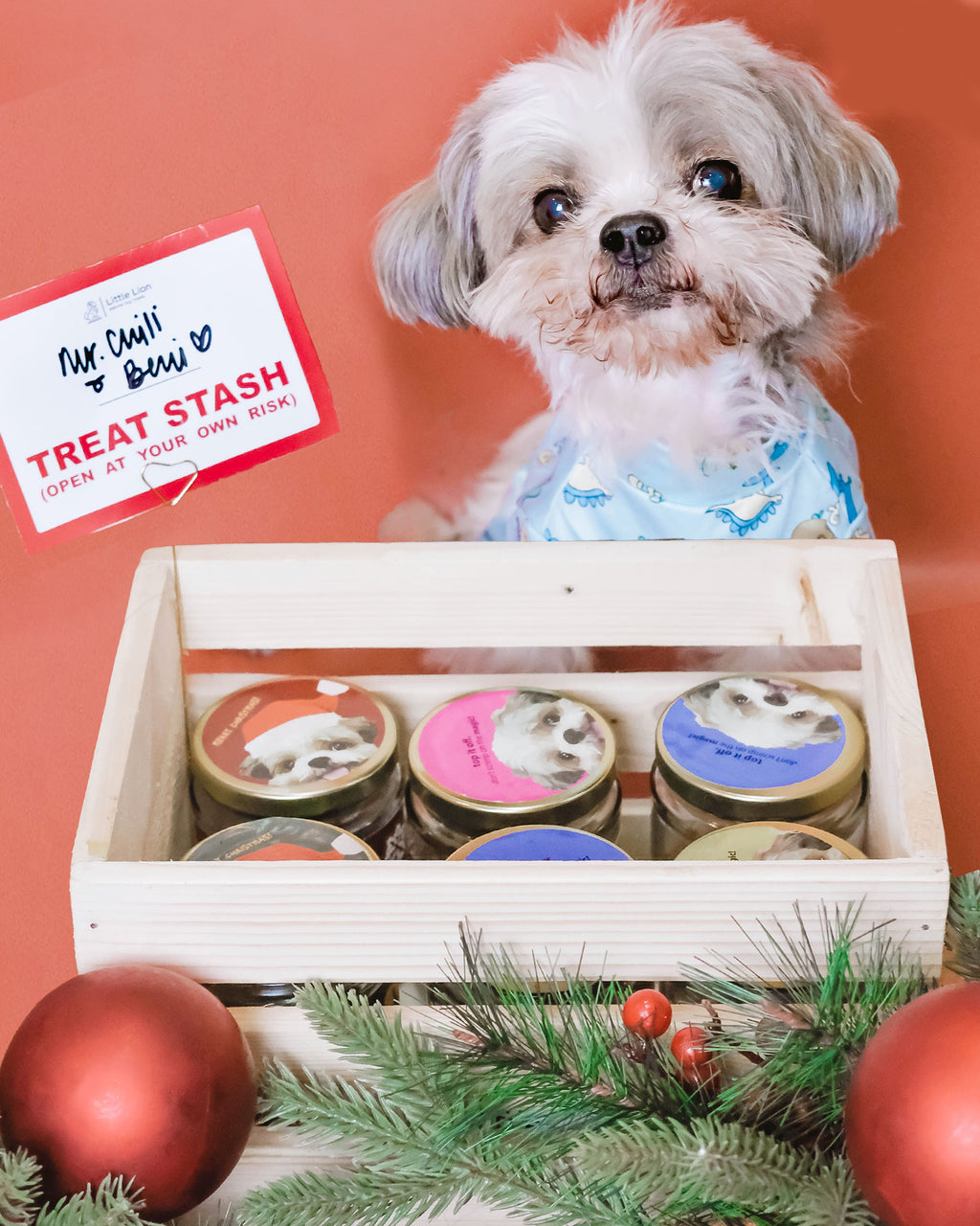 Build-A-Stash: Your Pet’s Custom Treat Bar!