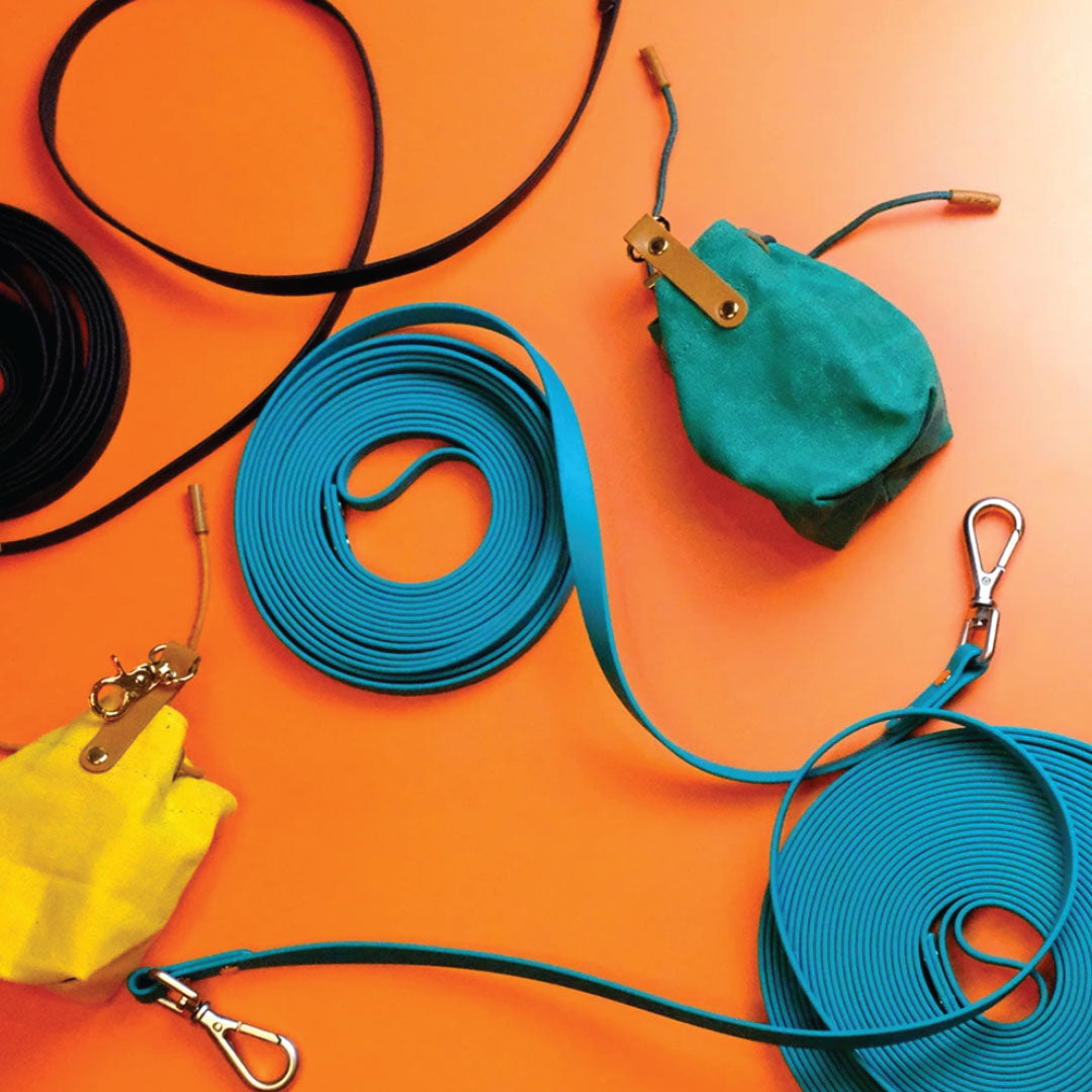 Long Waterproof Leash