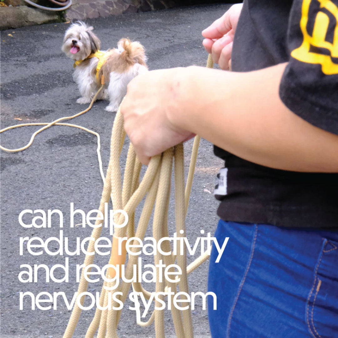 Long Rope Leash