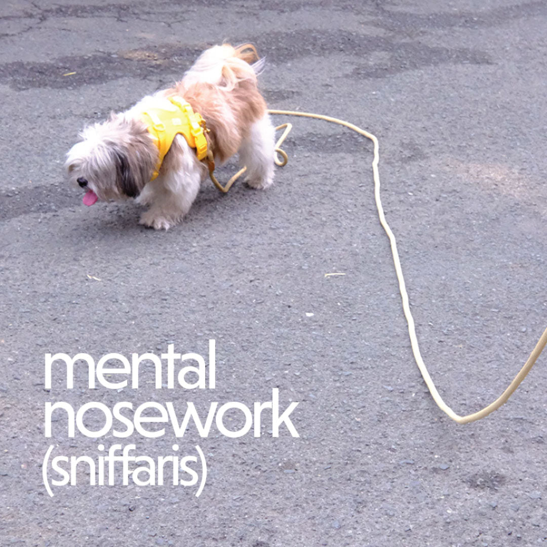 Long Rope Leash