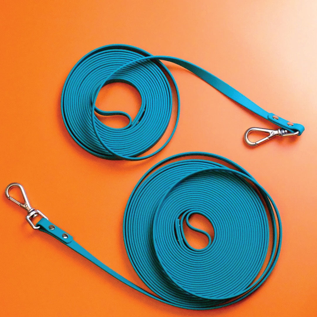 Long Waterproof Leash