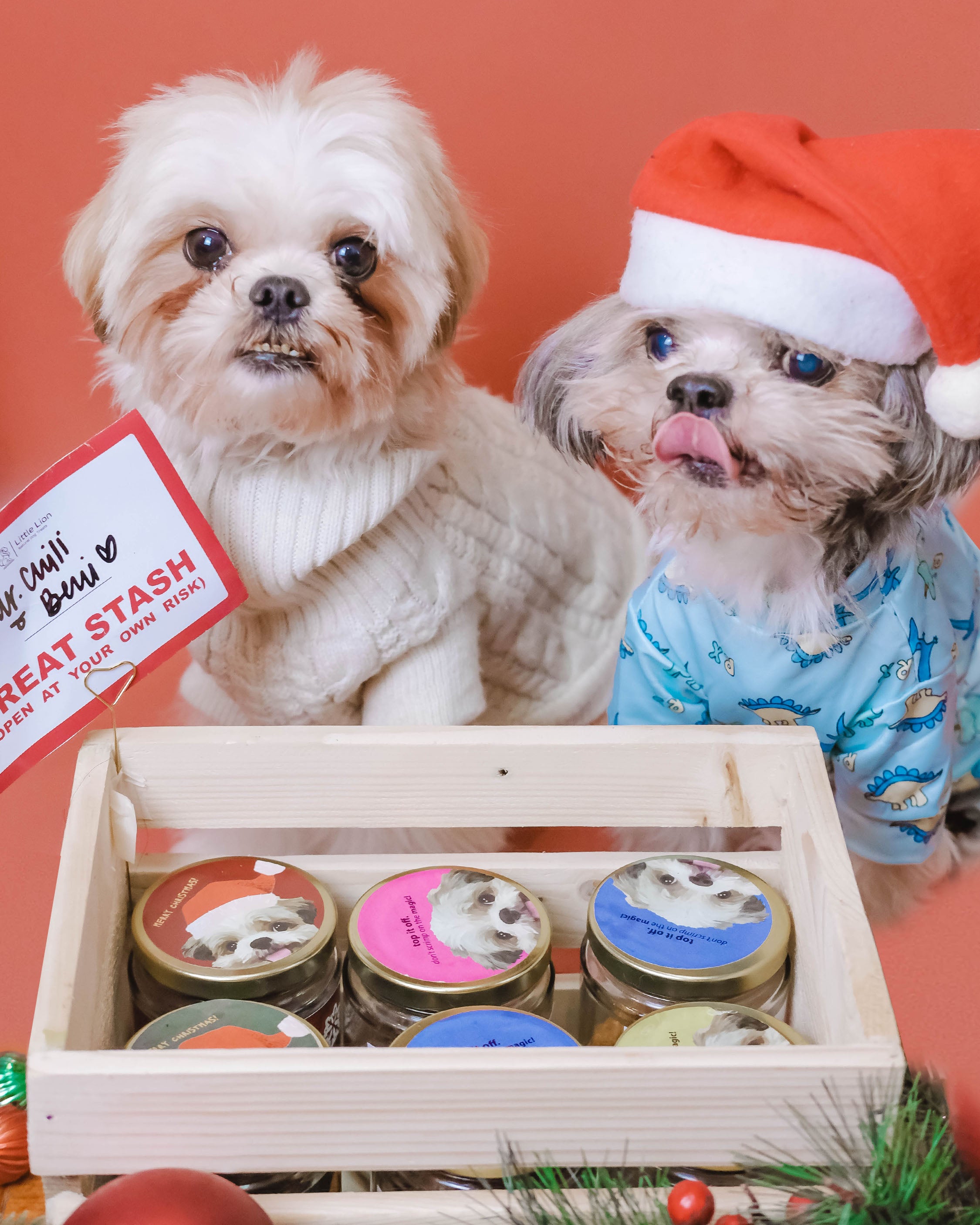 Build-A-Stash: Your Pet’s Custom Treat Bar!
