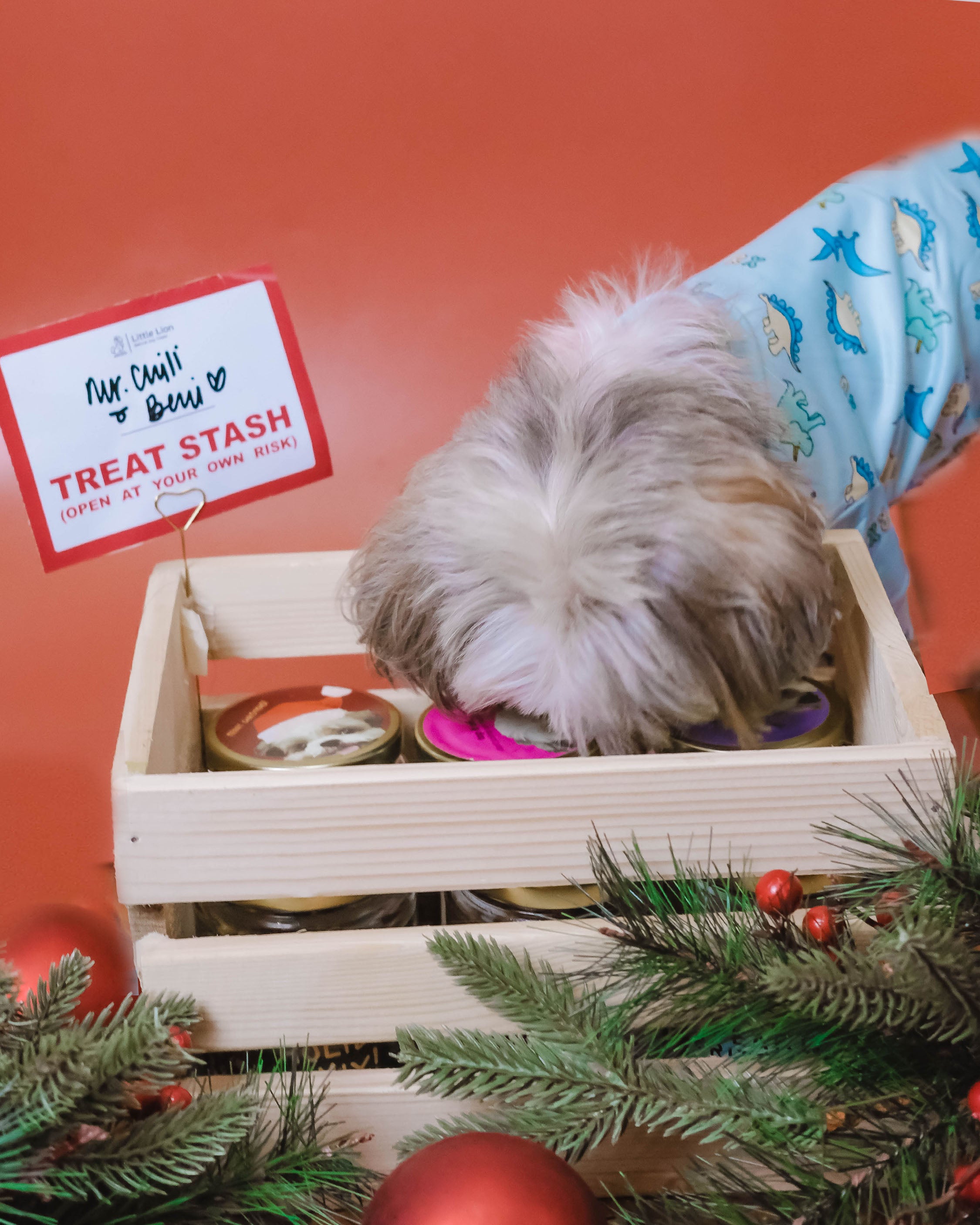 Build-A-Stash: Your Pet’s Custom Treat Bar!