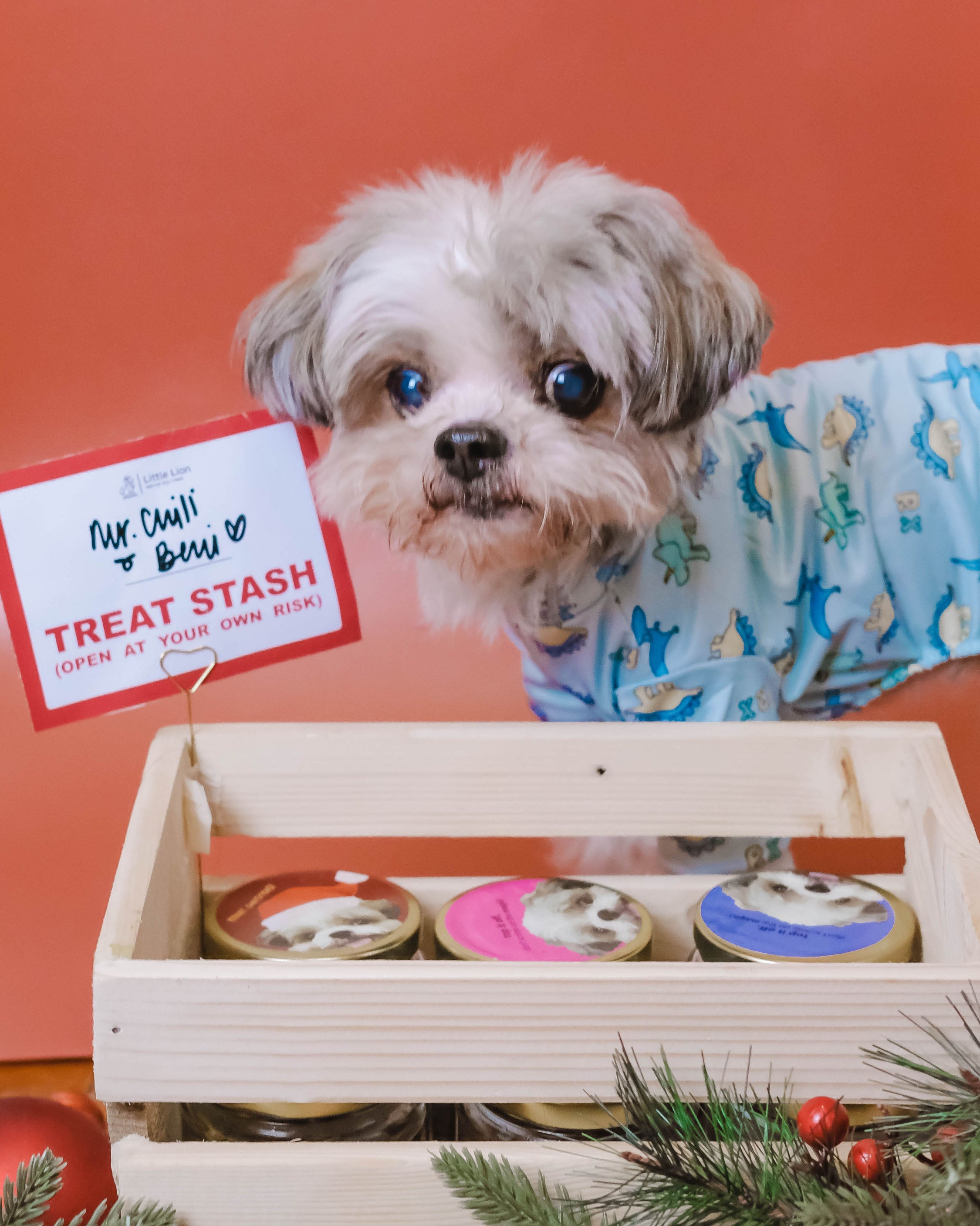 Build-A-Stash: Your Pet’s Custom Treat Bar!