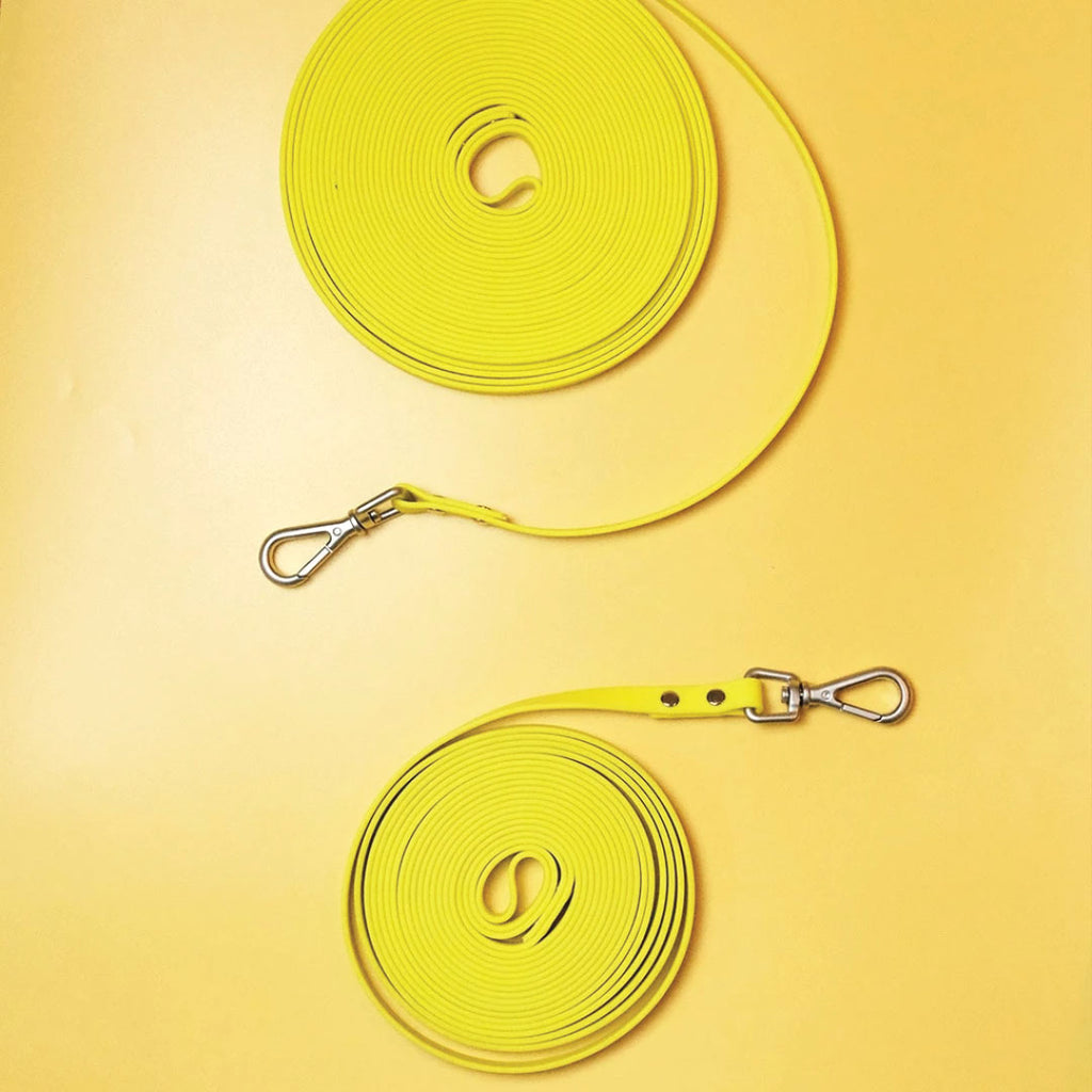 Long Waterproof Leash