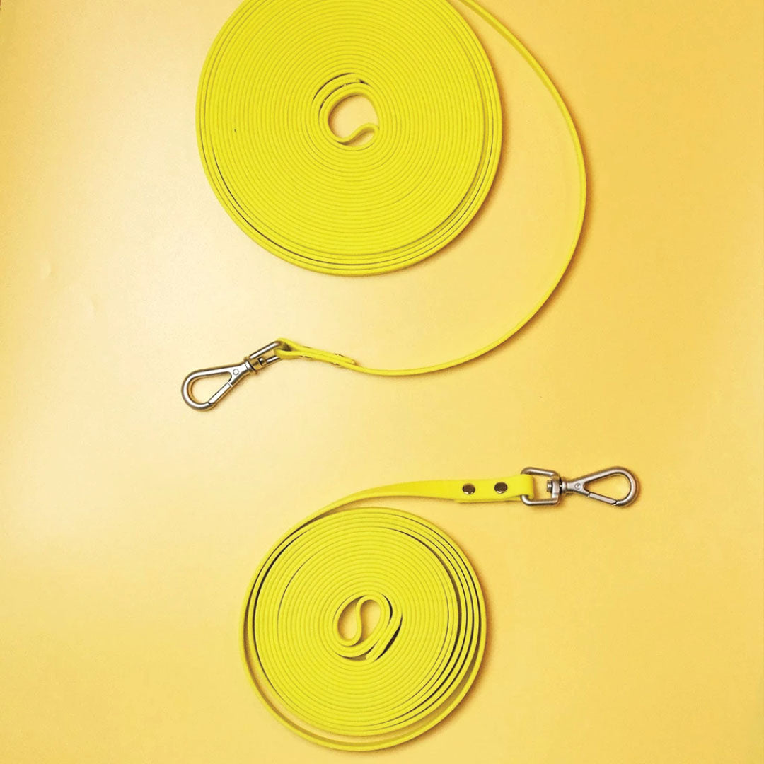 Long Waterproof Leash